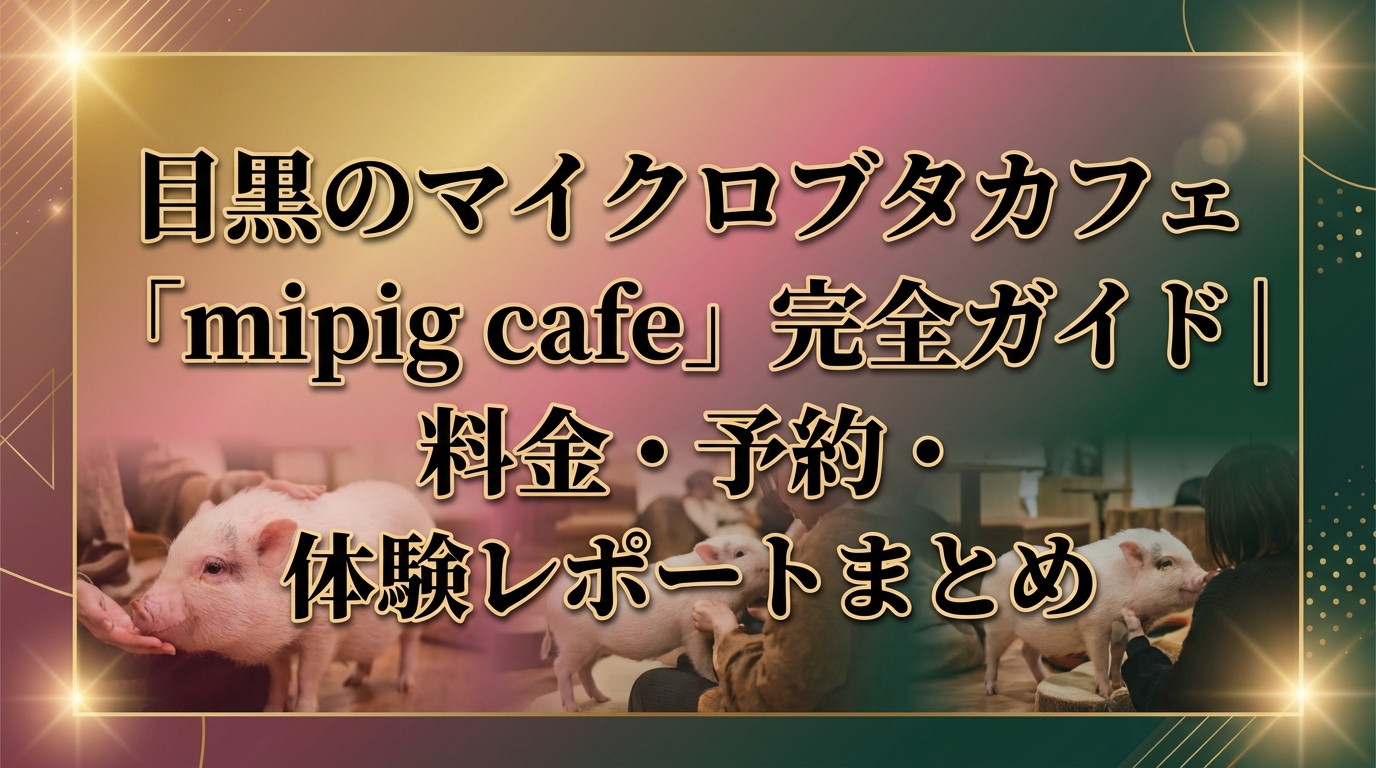 目黒のマイクロブタカフェ「mipig cafe」完全ガイド｜料金・予約・体験レポートまとめ