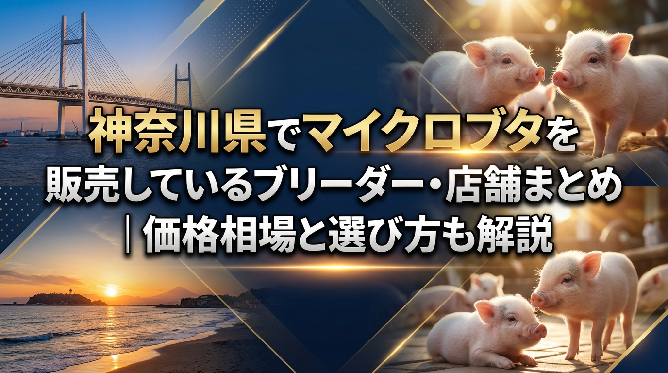 神奈川県でマイクロブタを販売しているブリーダー・店舗まとめ｜価格相場と選び方も解説