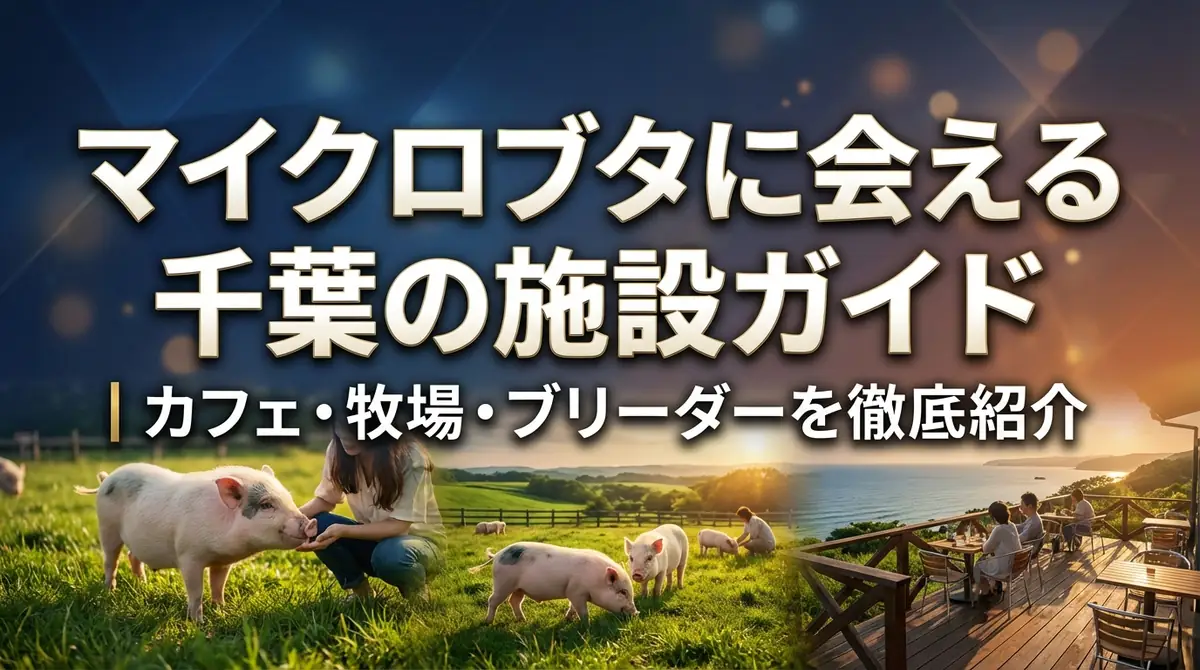 マイクロブタに会える千葉の施設ガイド｜カフェ・牧場・ブリーダーを徹底紹介