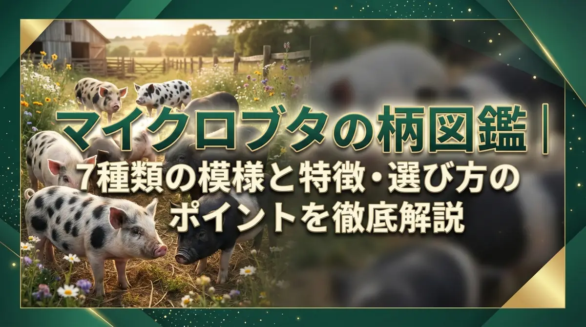 マイクロブタの柄図鑑｜7種類の模様と特徴・選び方のポイントを徹底解説
