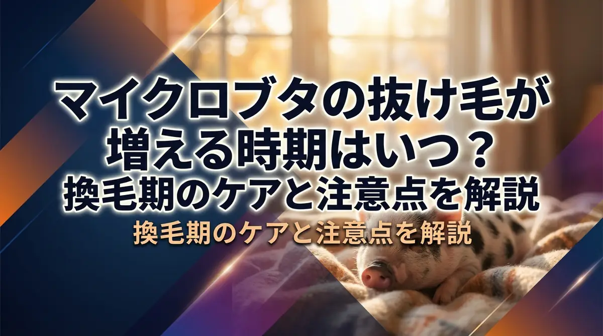 マイクロブタの抜け毛が増える時期はいつ？換毛期のケアと注意点を解説
