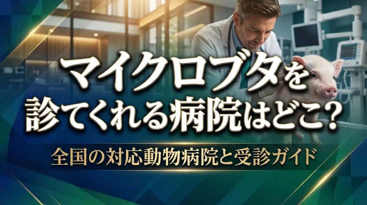 マイクロブタを診てくれる病院はどこ？全国の対応動物病院と受診ガイド