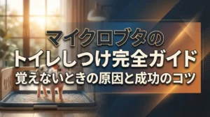 マイクロブタのトイレしつけ完全ガイド｜覚えないときの原因と成功のコツ
